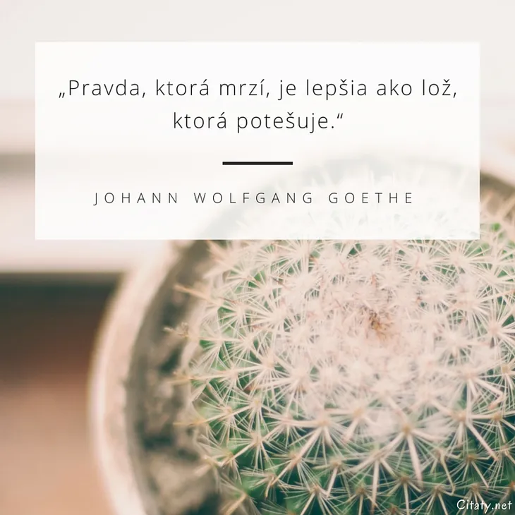 11078 7417 - Citáty Johann Wolfgang Goethe