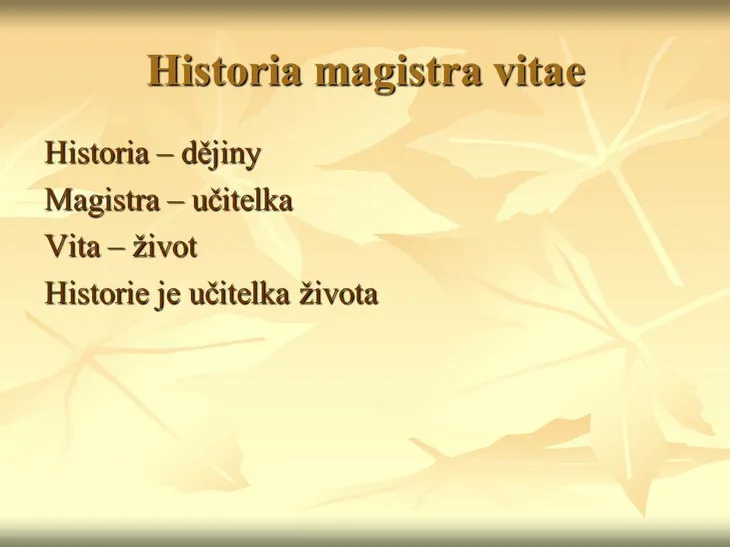 2776 107843 - Historia Magistra Vitae
