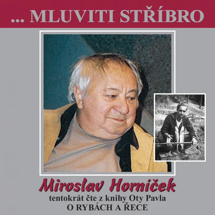 3652 102165 - Miroslav Hornícek