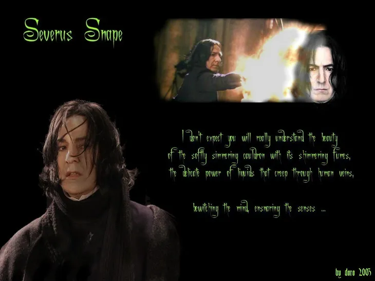 7607 87333 - Severus Snape Citáty