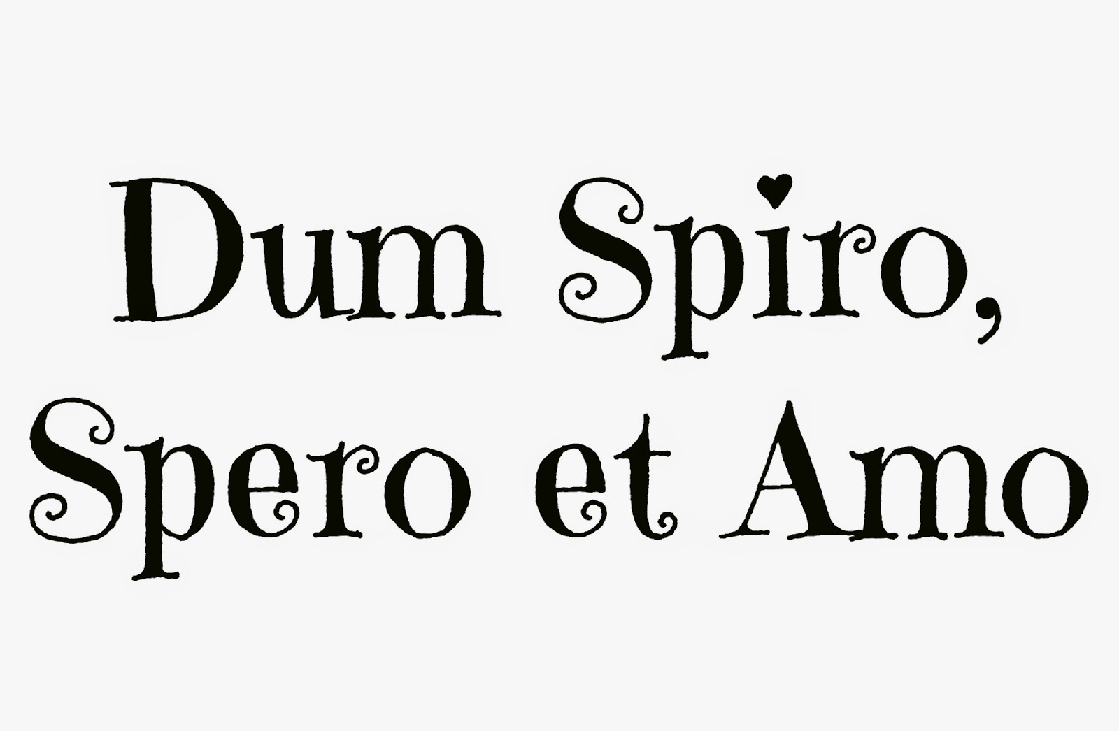 5e89dd2b38ece - Dum Spiro Spero
